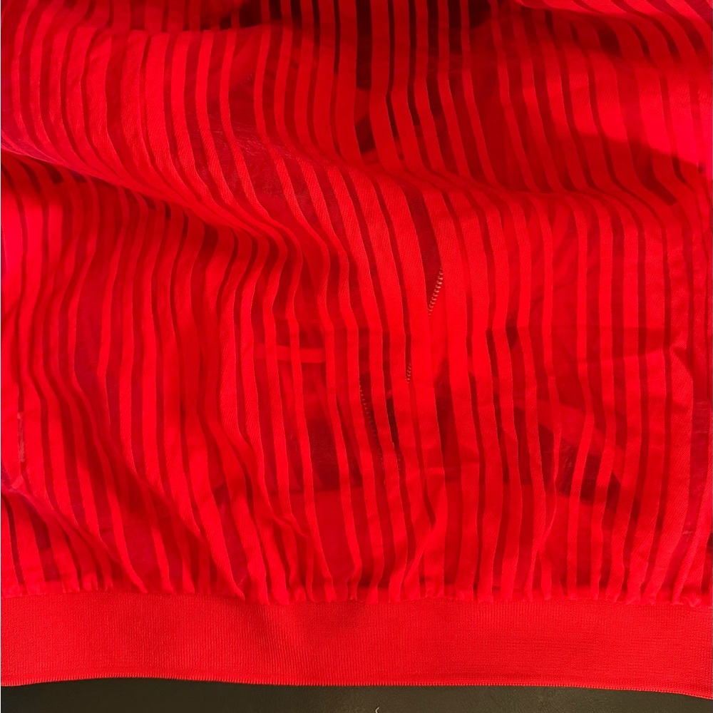 ZARA Red Sheer Jacket - Picture 6 of 7